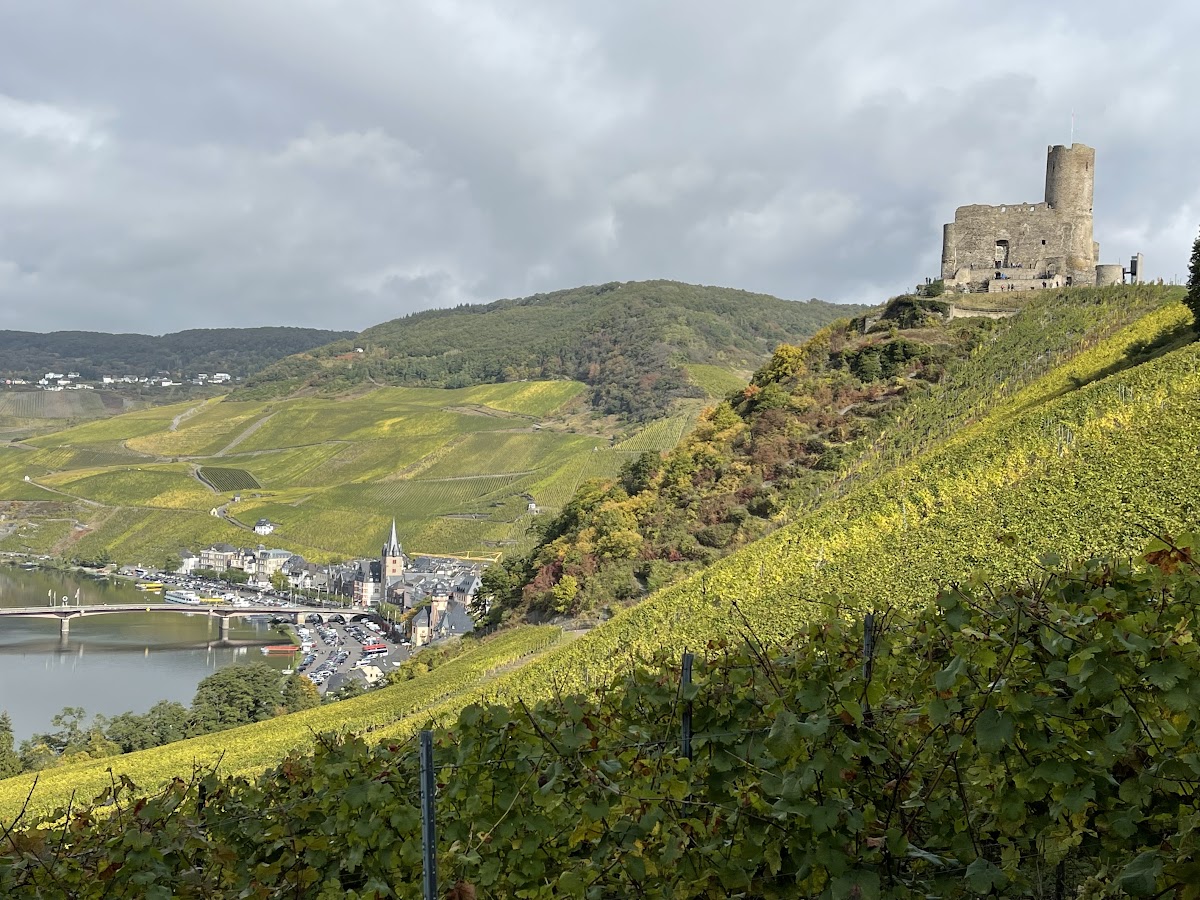 Vineyard village along the Rhine river cruise route